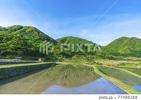 京都 袖志の棚田 京都 袖志の棚田 77486268