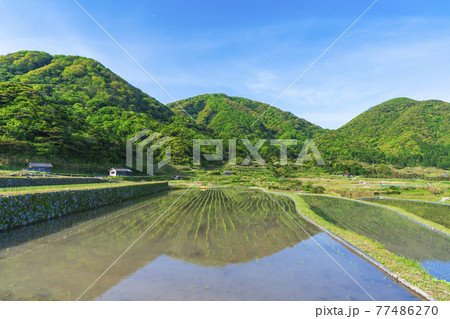 京都 袖志の棚田 京都 袖志の棚田 77486270