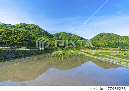 京都 袖志の棚田 京都 袖志の棚田 77486278