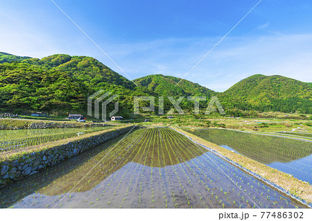 京都　袖志の棚田 77486302