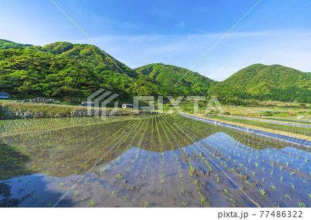 京都 袖志の棚田 京都 袖志の棚田 77486322