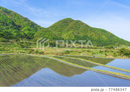 京都　袖志の棚田 77486347
