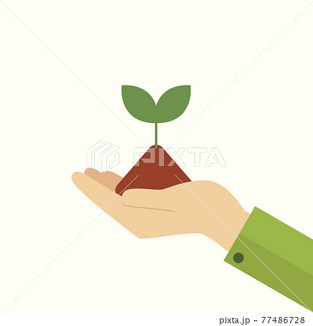 Hand holding young plant Hand holding young plant 77486728