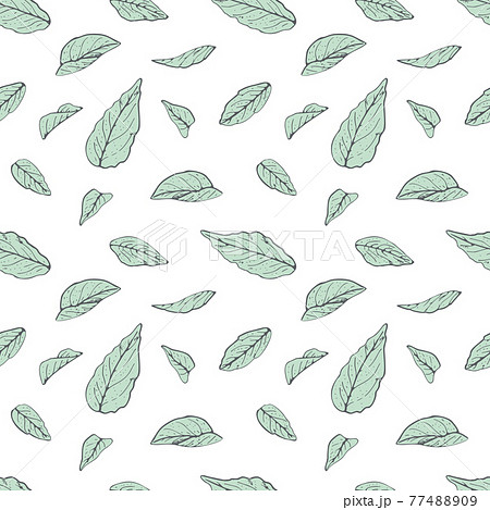 Seamless pattern with modern minimalist Turquoise line art leaves 77488909