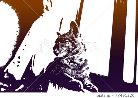 猫 ネコ ねこ キジトラ 白 グレー 子猫 雌 メス 雌ねこ 雌ネコ 雌猫 元気 かわいい 癒しのイラスト素材