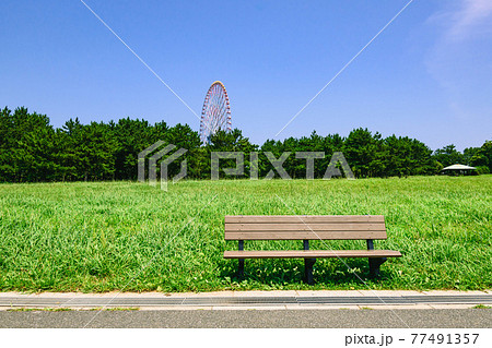 東京都 真夏の公園 ベンチと芝生の写真素材