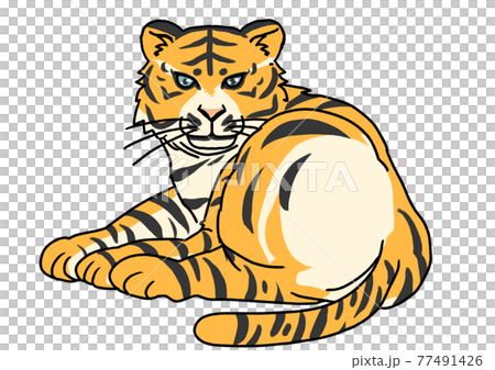 お尻を向けて座る虎のイラスト素材 [77491426] - PIXTA