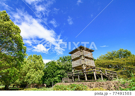 （埼玉県）真夏の公園と展望台・快晴の空 77491503