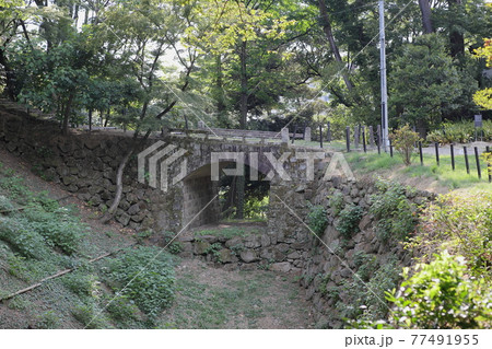 愛知　岡崎城 77491955