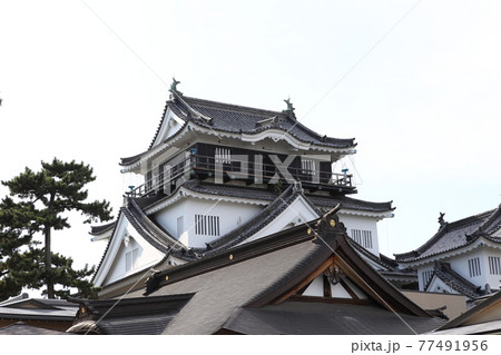 愛知　岡崎城 77491956