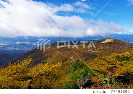 長野県東篭ノ登山より望む秋の池の平湿原 77492896