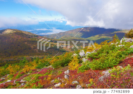 長野県東篭ノ登山から見る秋の風景 77492899