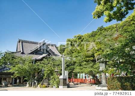 金剛宝寺(紀三井寺)　本堂　[和歌山県和歌山市] 77492911