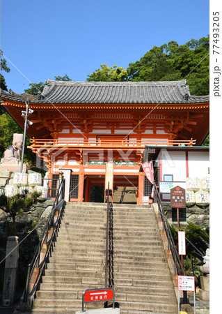 金剛宝寺(紀三井寺)　楼門　[和歌山県和歌山市] 77493205