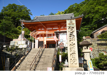 金剛宝寺(紀三井寺)　楼門　[和歌山県和歌山市] 77493209
