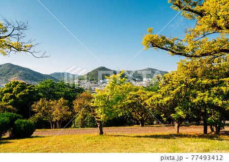Dolsan park in Yeosu, Korea Dolsan park in Yeosu, Korea 77493412
