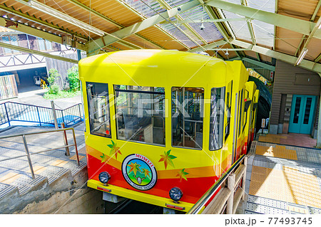 高尾山ケーブルカーもみじ号（高尾山駅） 77493745