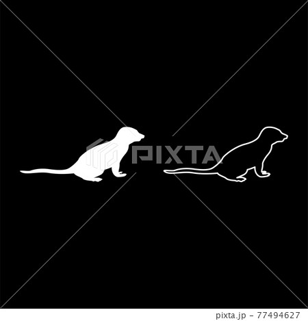 Meerkat in pose Suricata Suricatta silhouette Meerkat in pose Suricata Suricatta silhouette 77494627
