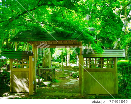 柏崎市 赤坂山公園の写真素材