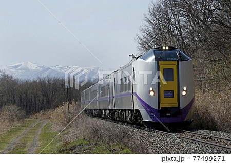特急おおぞら おおぞら 根室本線 石勝線 キハ261 特急おおぞら おおぞら 根室本線 石勝線 キハ261 77499271