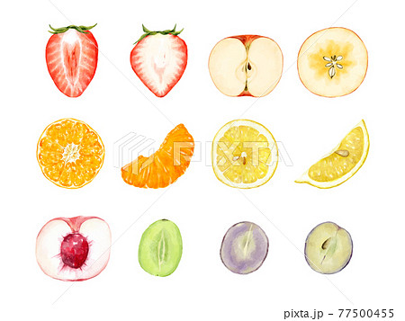 いろいろな果物の断面セット 水彩ベクターイラストのイラスト素材