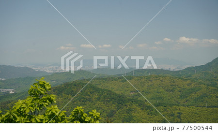 韓国 水原 白雲山の風景 韓国 水原 白雲山の風景 77500544