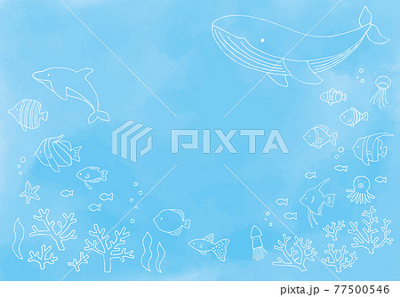 海中を泳ぐ熱帯魚とイルカとクジラのイラスト 77500546