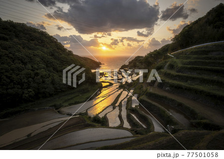 佐賀県 浜野浦の棚田の夕日 佐賀県 浜野浦の棚田の夕日 77501058