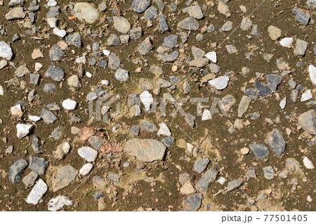 地面 地面 77501405