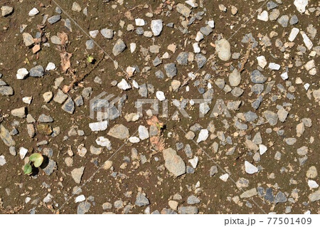 地面 地面 77501409