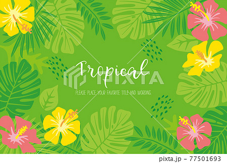 トロピカルモチーフのフレーム素材 77501693