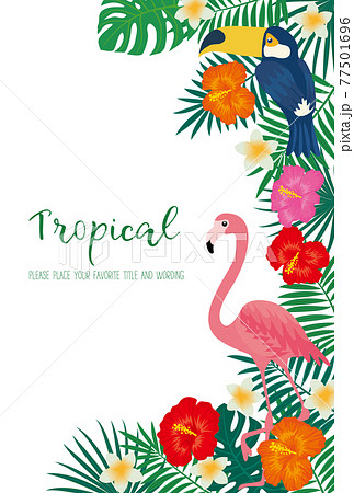 トロピカルモチーフのフレーム素材 77501696