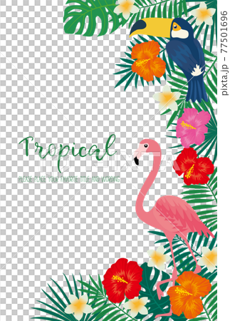 トロピカルモチーフのフレーム素材 77501696