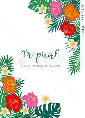 トロピカルモチーフのフレーム素材 77501697
