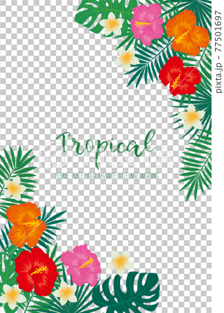 トロピカルモチーフのフレーム素材 77501697