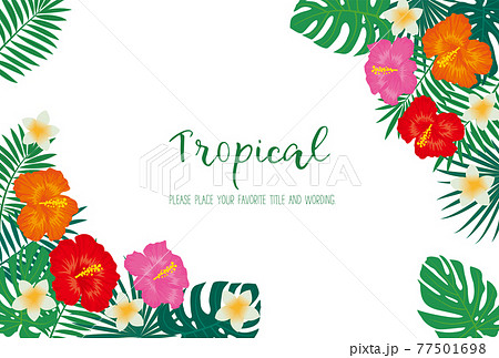 トロピカルモチーフのフレーム素材 77501698