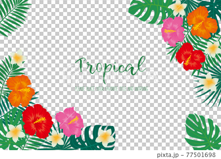 トロピカルモチーフのフレーム素材 77501698