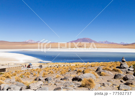 Laguna Canapa view, Bolivia 77502737