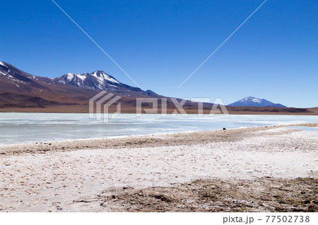 Laguna Hedionda view, Bolivia 77502738
