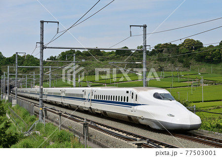 N700A　茶畑 77503001