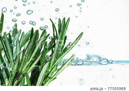 Rosemary bunch in water with bubbles. Rosemary bunch in water with bubbles. 77503968