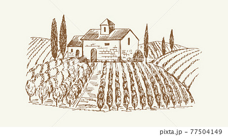 Sketch landscape with castle. Medieval farm, nature and vine plantation. Vintage vineyard, agricultural rustic vector illustration 77504149