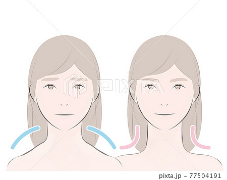 丸い肩の女性とすっきりした肩の女性2 77504191