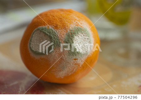 Mouldy orange (face with eyes) on a blurry background Mouldy orange (face with eyes) on a blurry background 77504296