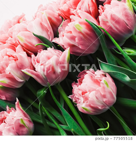 Spring flowers on marble background as holiday gift, greeting card and floral flatlay Spring flowers on marble background as holiday gift, greeting card and floral flatlay 77505518