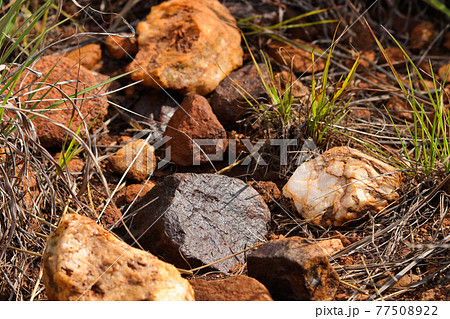 Natural Magnetite Iron Ore Rock Deposit With Quartz 77508922