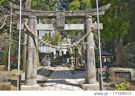 【白川吉見神社】 熊本県阿蘇郡南阿蘇村白川 【白川吉見神社】 熊本県阿蘇郡南阿蘇村白川 77509015
