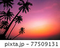 Summer season Sunset with coconut tree in twilight time at beach 77509131