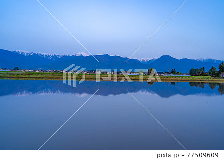 初夏の安曇野市の水田と水鏡 【長野県】 初夏の安曇野市の水田と水鏡 【長野県】 77509609