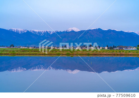 初夏の安曇野市の水田と水鏡 【長野県】 初夏の安曇野市の水田と水鏡 【長野県】 77509610